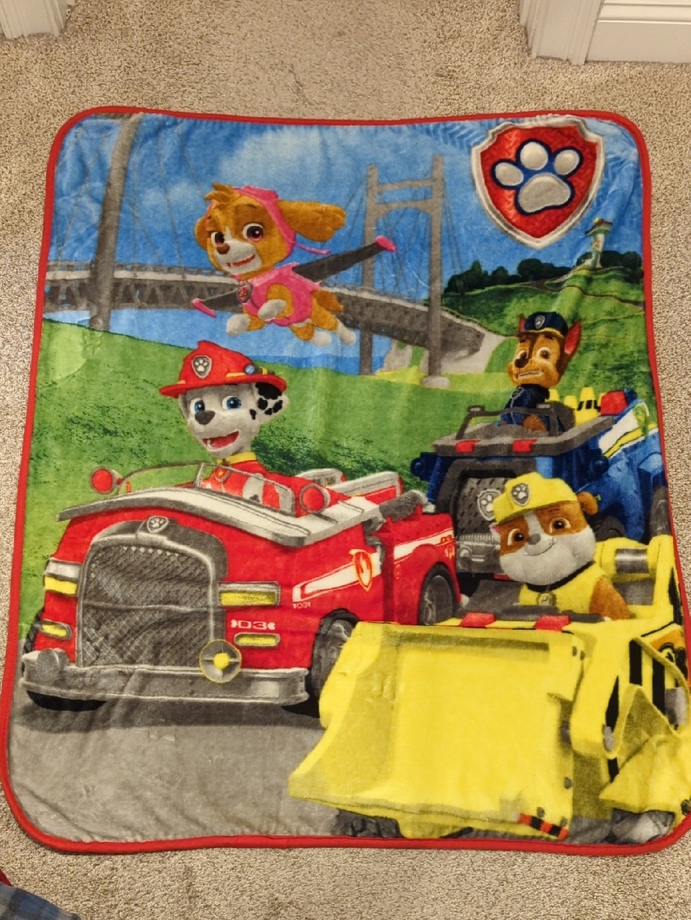 Paw Patrol Kids Blanket 50 X 36 Super Soft